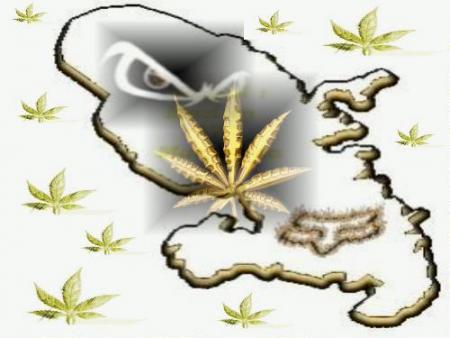 MADININA REPRESENTE 972
